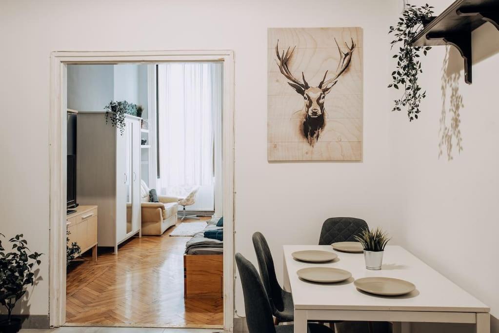 Big Apartment In The City Centre Budapešť Exteriér fotografie