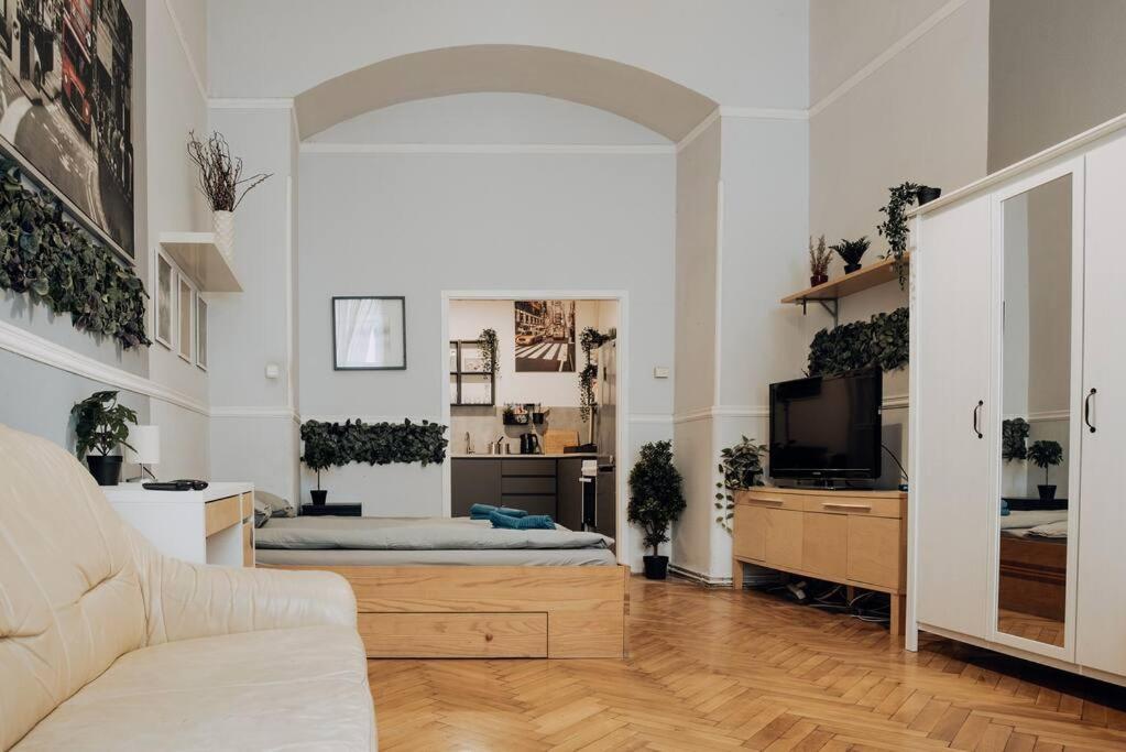 Big Apartment In The City Centre Budapešť Exteriér fotografie