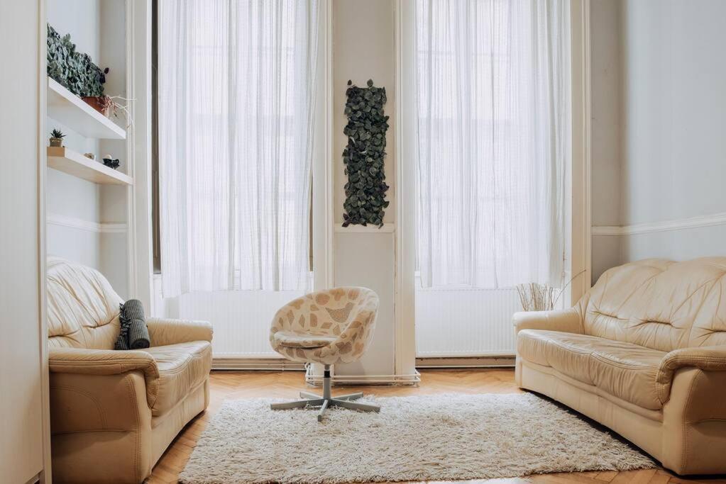 Big Apartment In The City Centre Budapešť Exteriér fotografie