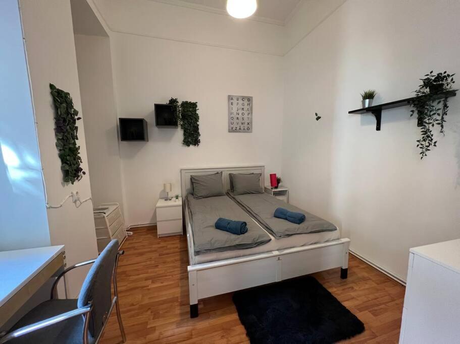 Big Apartment In The City Centre Budapešť Exteriér fotografie