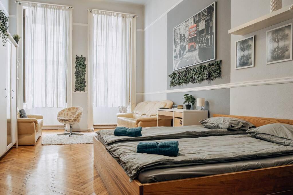 Big Apartment In The City Centre Budapešť Exteriér fotografie